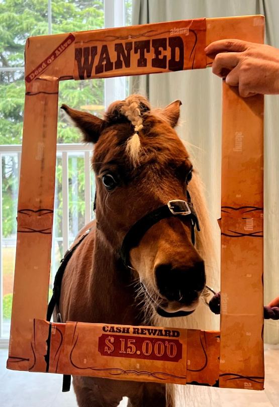 Mr Kelloggs at Fairmile Grange