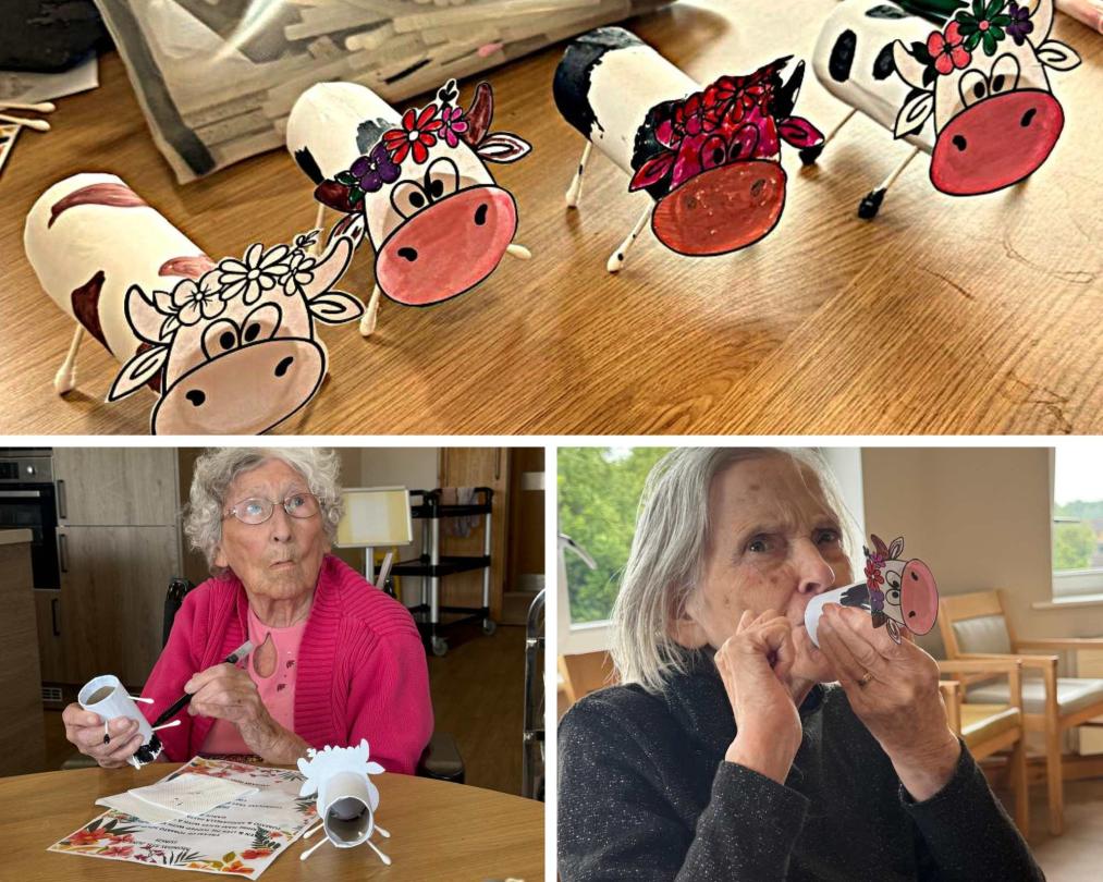 Residents creating cardboard cows