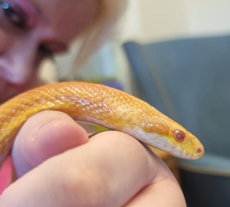 Selina holding a snake