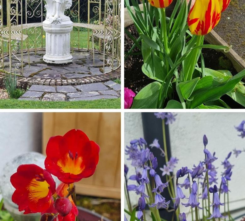 Flowers in Dunwood Garden