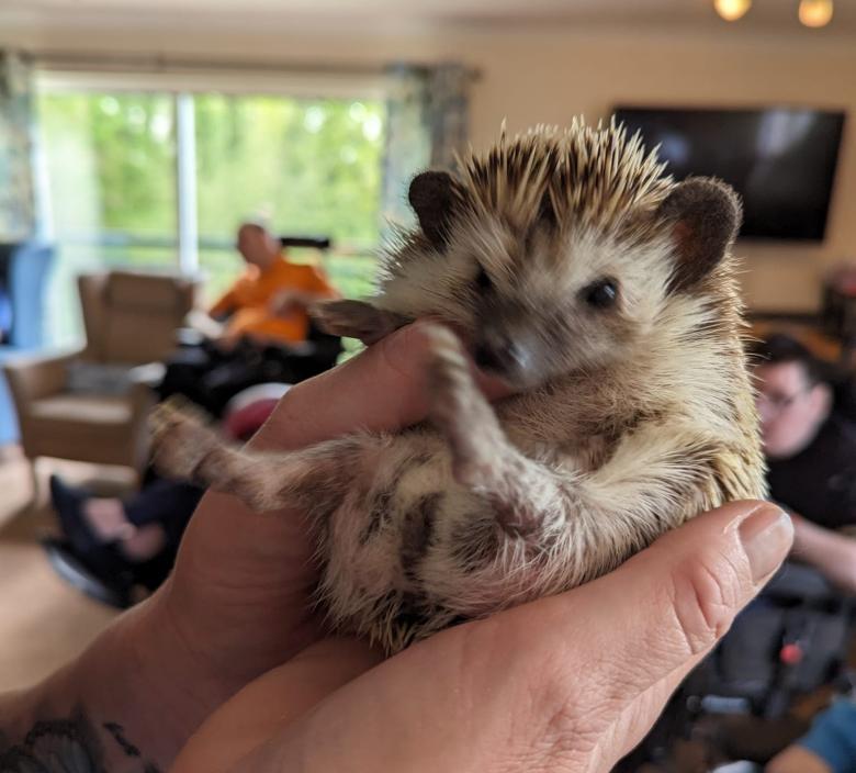 baby animals visit Waverley Lodge