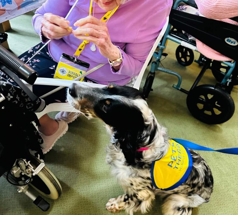 Pets as Therapy Dog Callie 