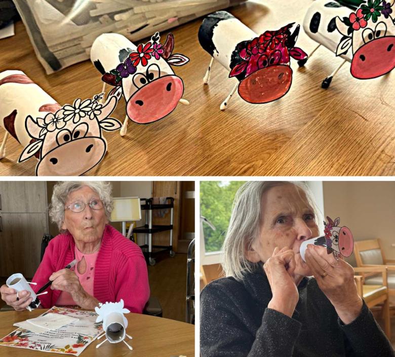 Residents creating cardboard cows