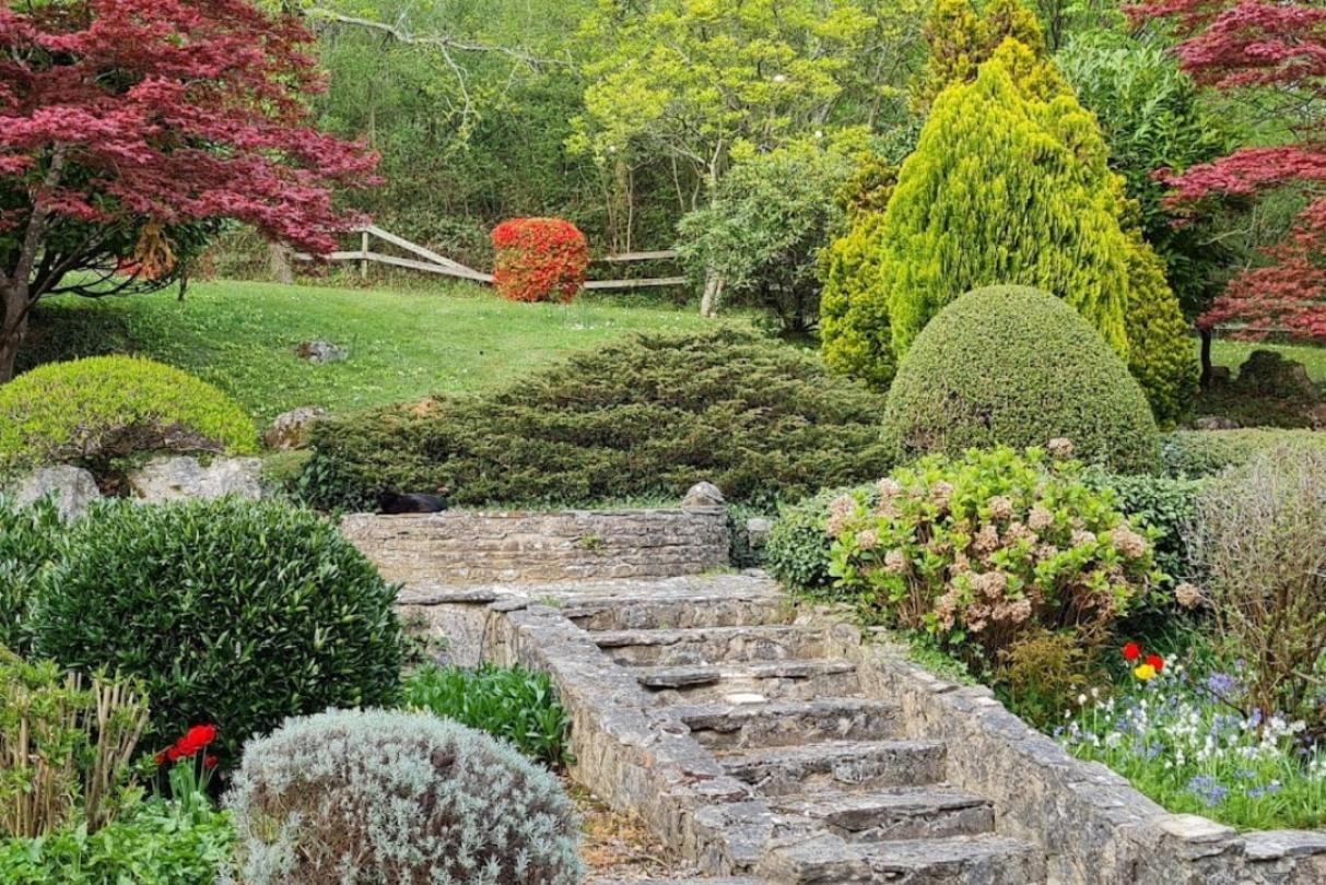 Dunwood Manor Nursing Home's garden 
