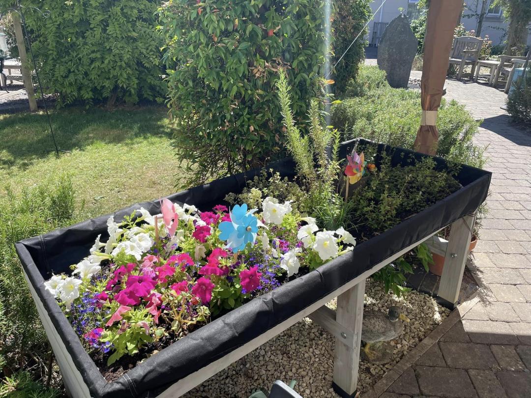 image of flowers in a standing flowerbed 
