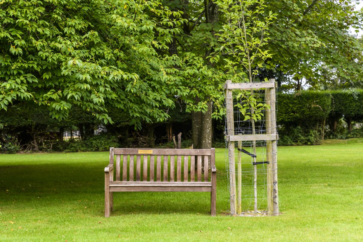 New forest care home's beautiful scenery. 