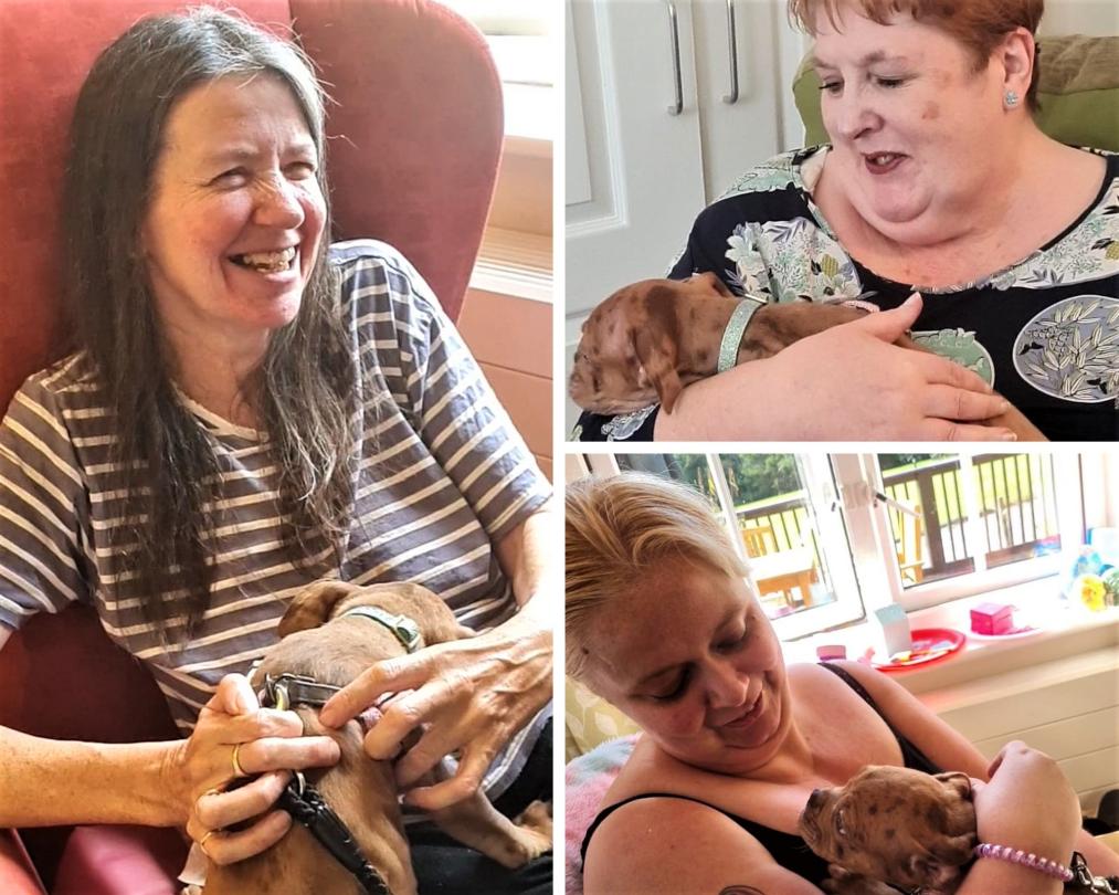 Waverley Lodge residents cuddle Mabel the dog
