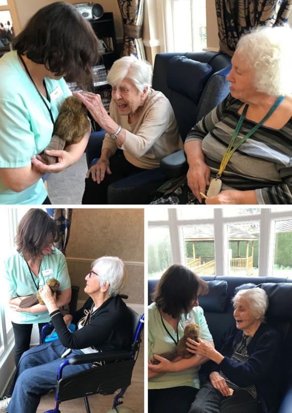 Sandy's beaver visiting residents