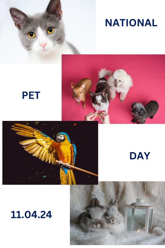 All typed of pets are welcome