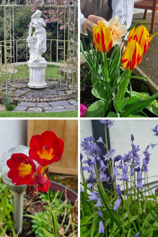 Flowers in Dunwood Garden