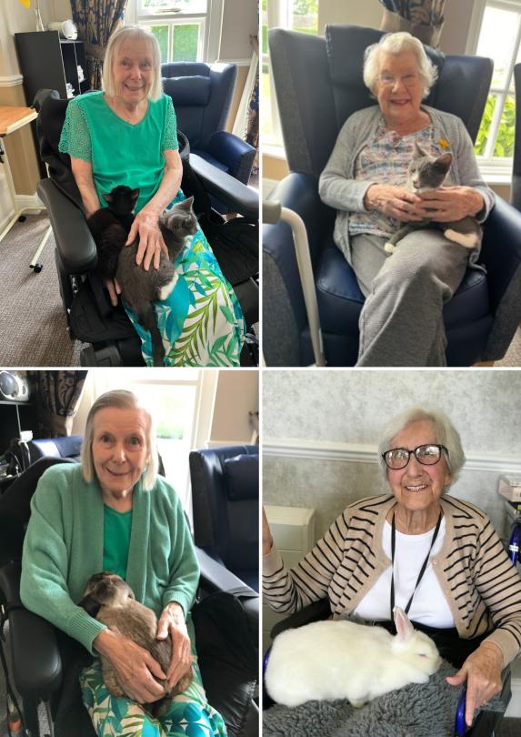 Cedar Lawn residents enjoying their furry visitors