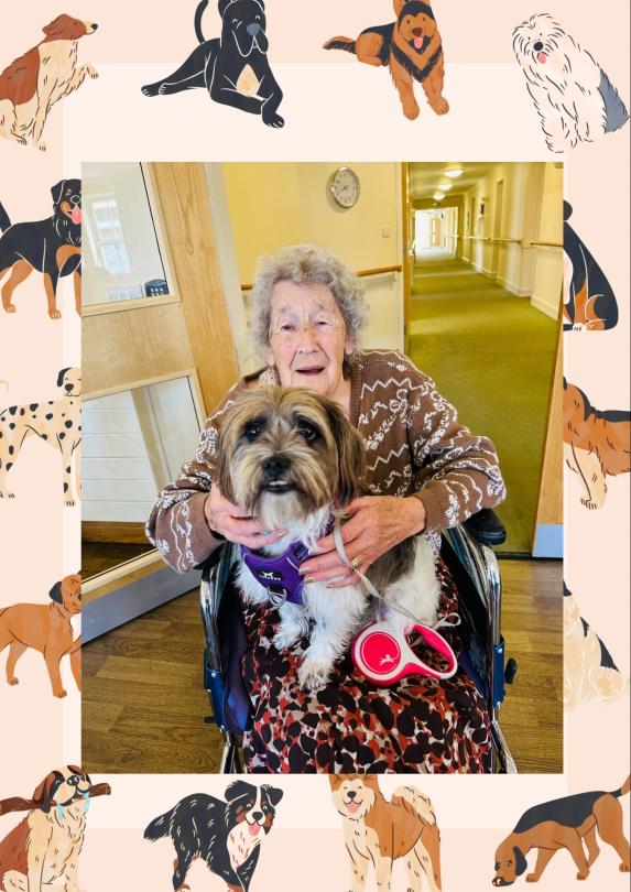 Celebrating Dogs at St Georges