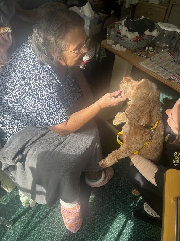 Gizmo the therapy dog with a Dunwood Resident