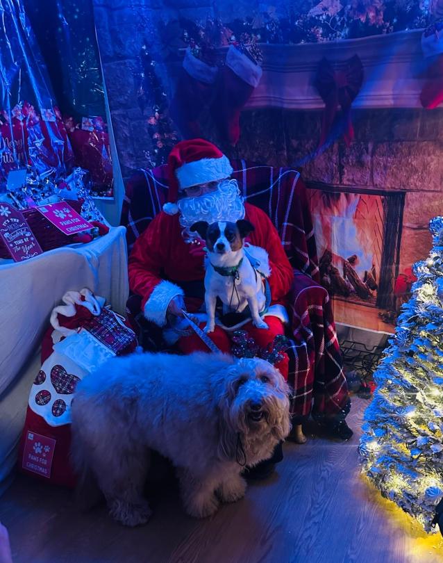 Santa Paws at St Georges