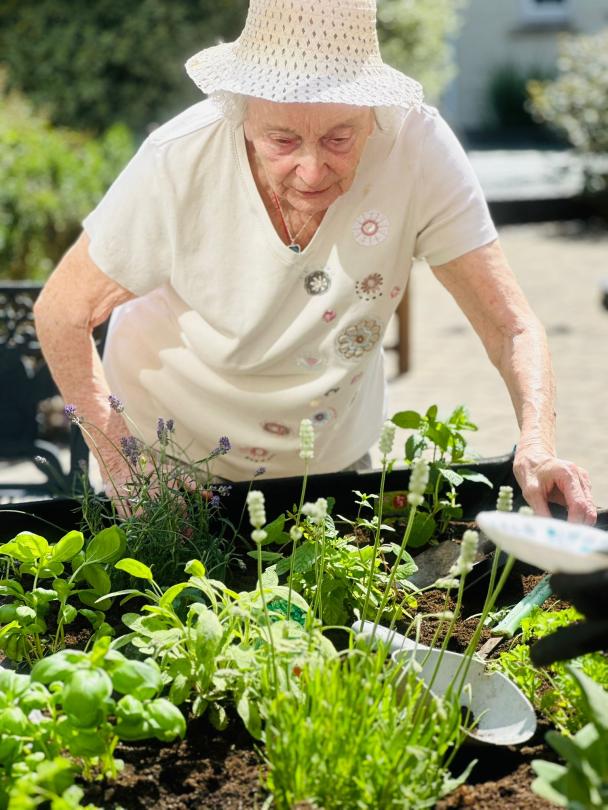Sensory Garden