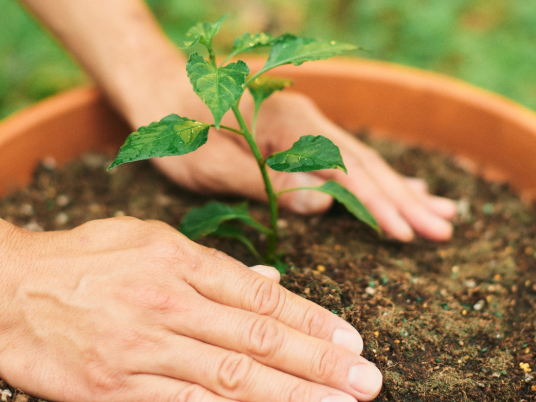 Self-funding a care home