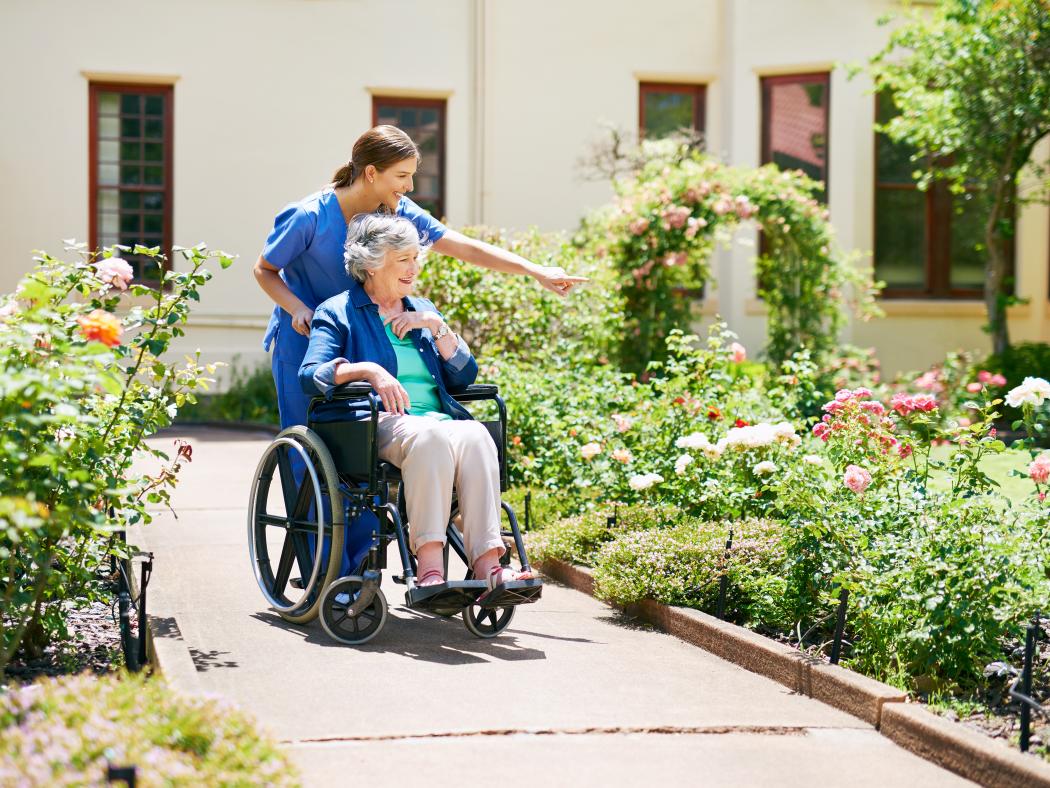 garden walk
