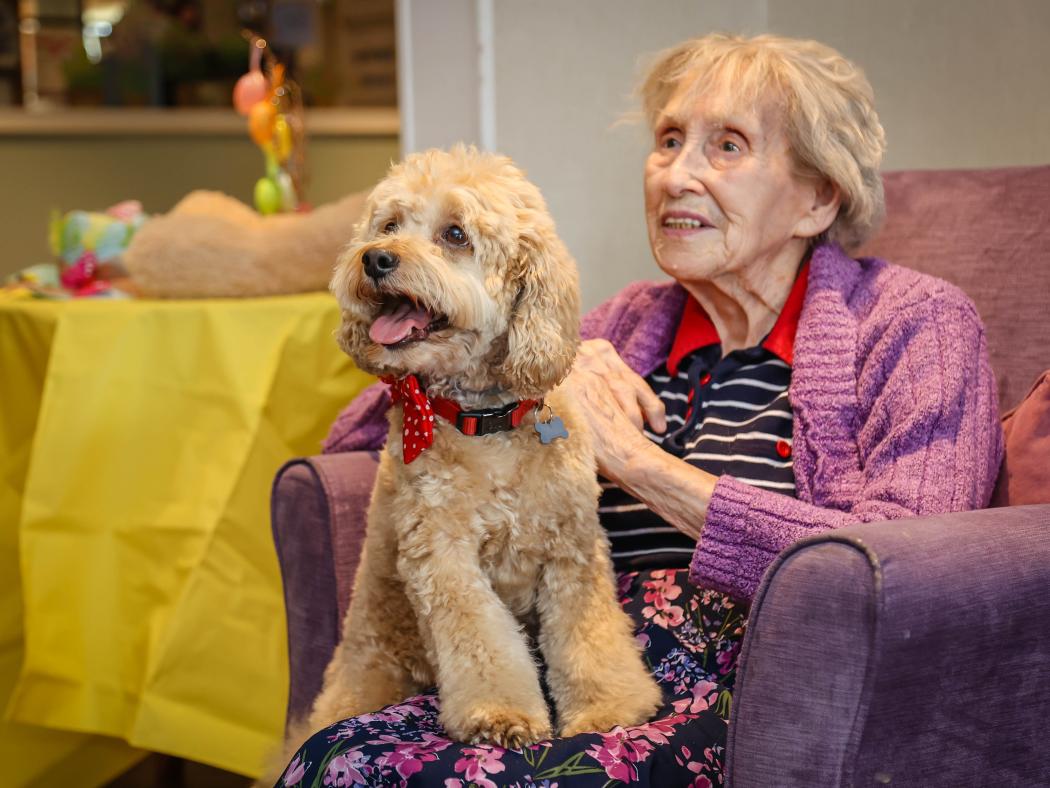 Choosing the right care home
