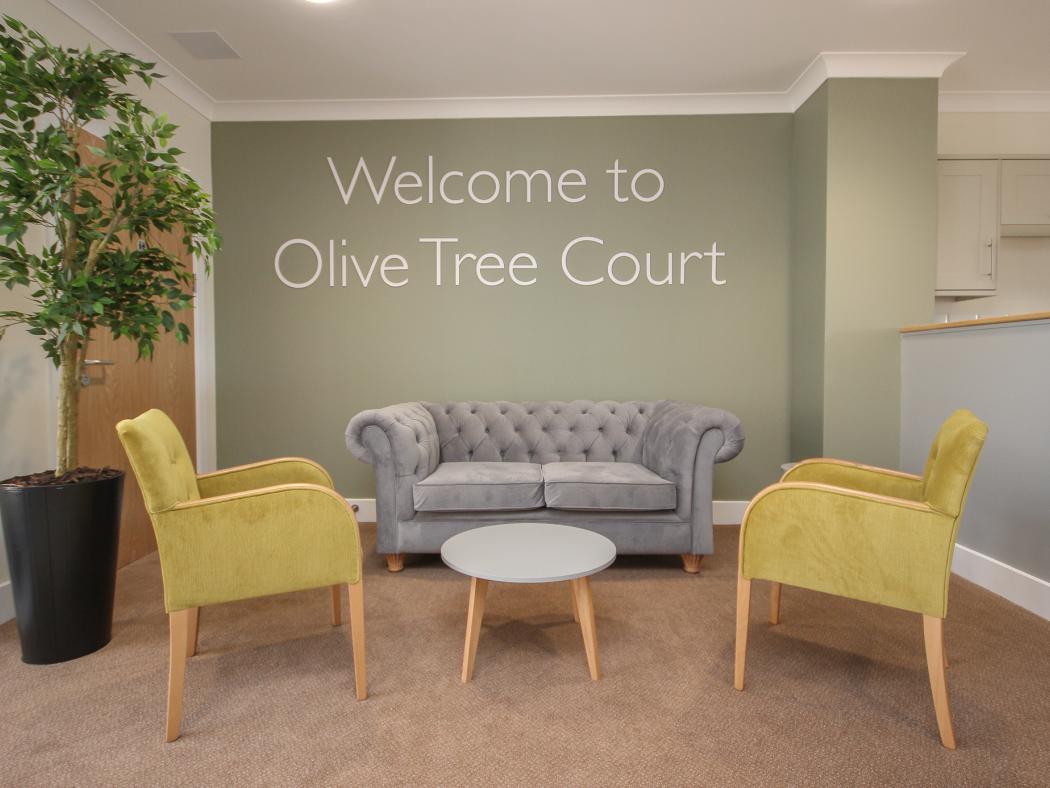 olive tree court front house