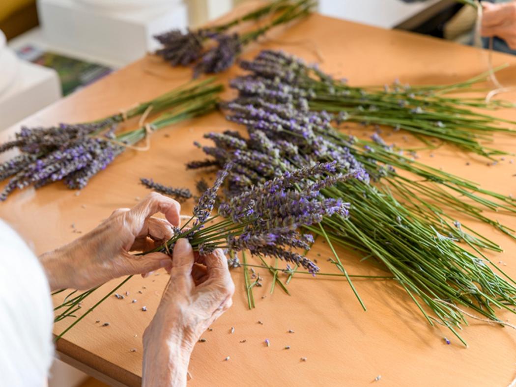 elderly person arranging lavender into bunches that are lying on a wooden table