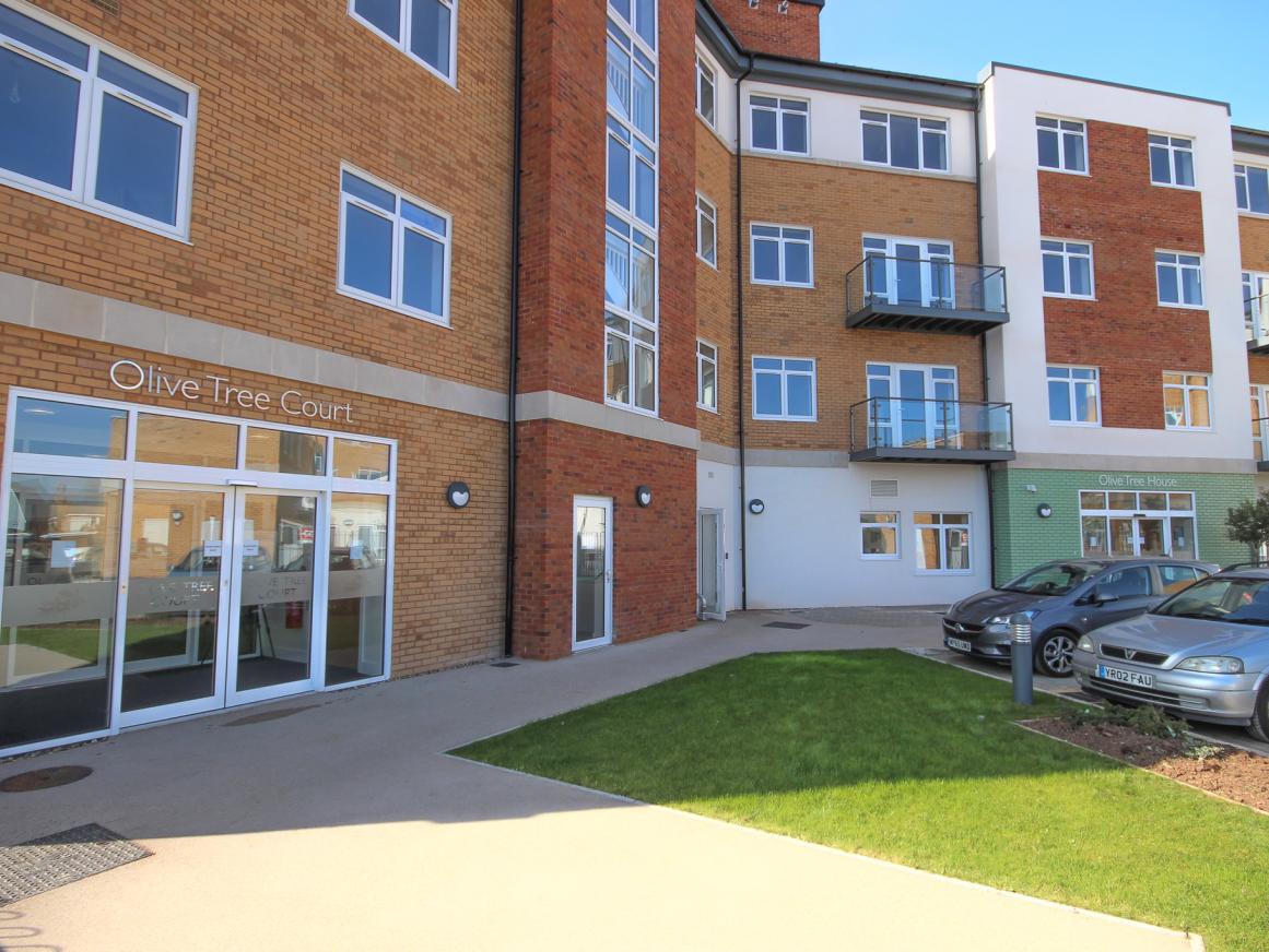 Olive tree court front