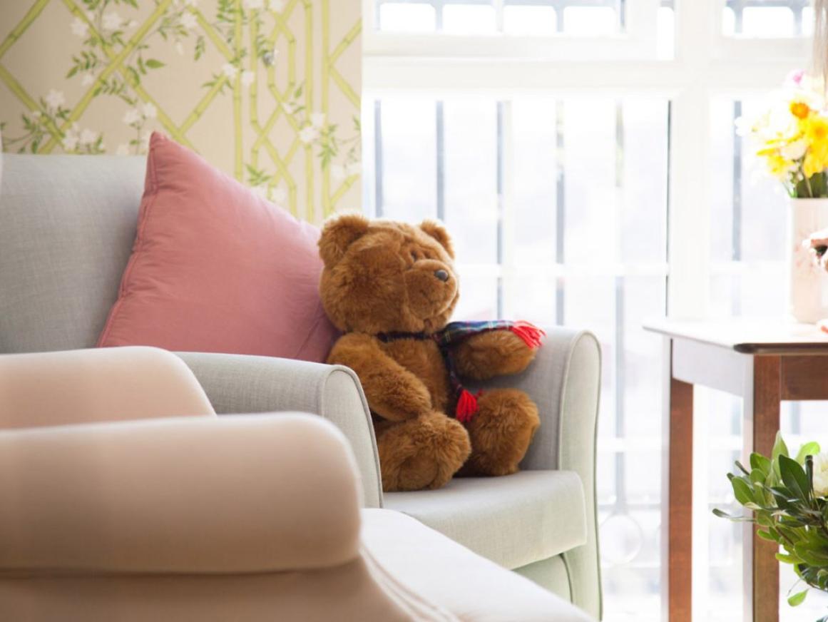 teddy