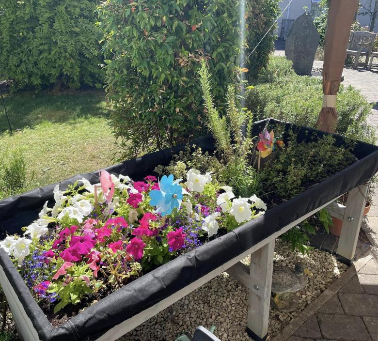 image of flowers in a standing flowerbed 