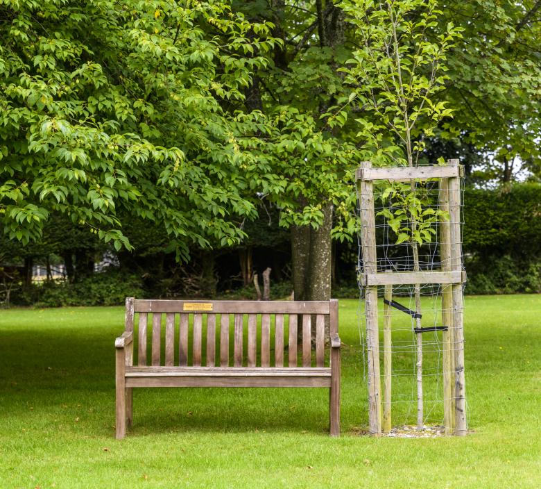 New forest care home's beautiful scenery. 