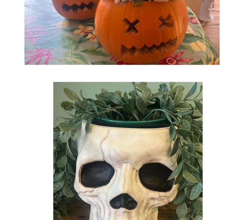Mr and Mrs Pumpkin and the friendly Mr Skull