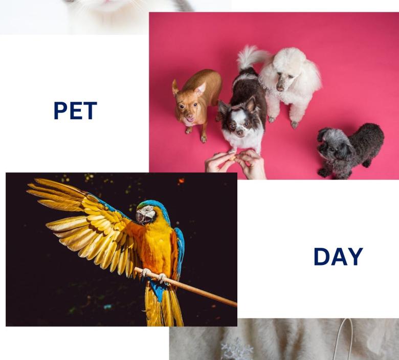 All typed of pets are welcome
