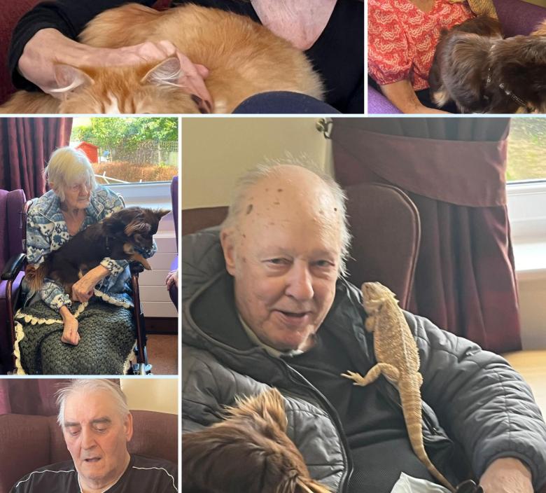 residents getting to know their furry and not so furry visitors