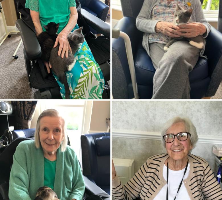 Cedar Lawn residents enjoying their furry visitors