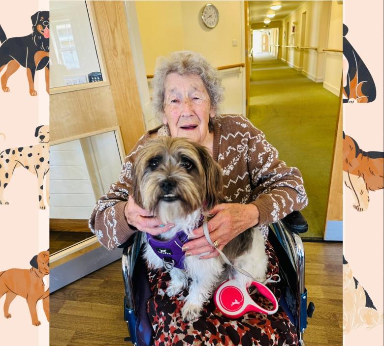 Celebrating Dogs at St Georges
