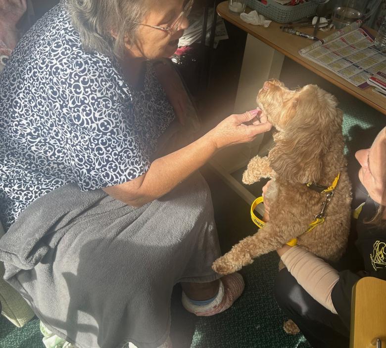 Gizmo the therapy dog with a Dunwood Resident