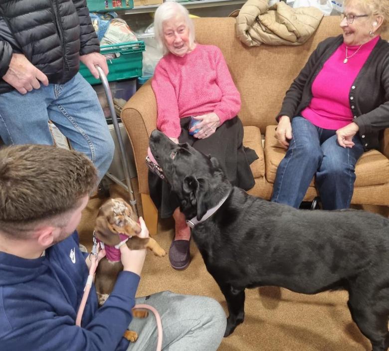 Residents, visitors and dogs enjoying the canine cafe