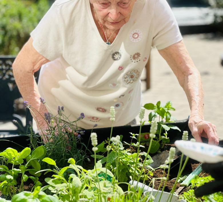 Sensory Garden