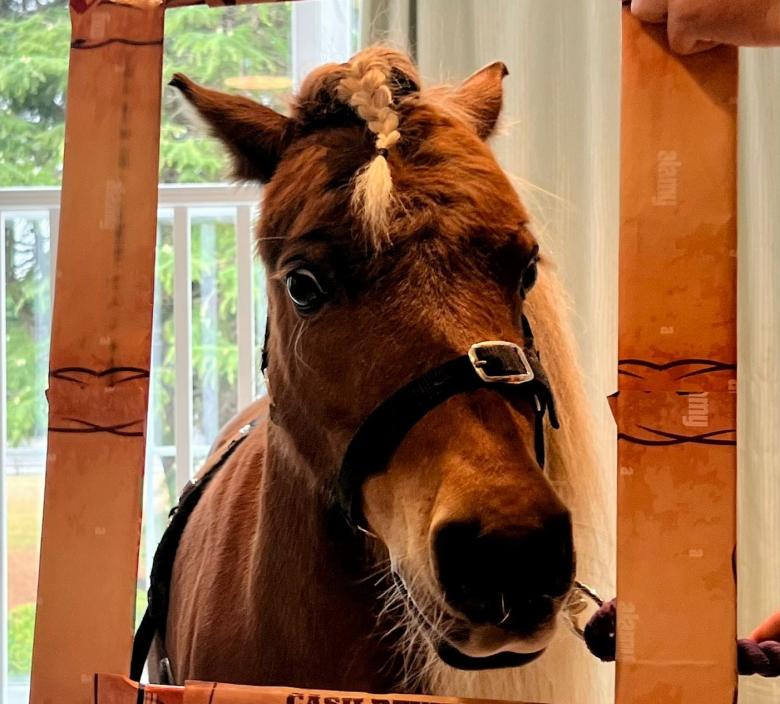 Mr Kelloggs at Fairmile Grange