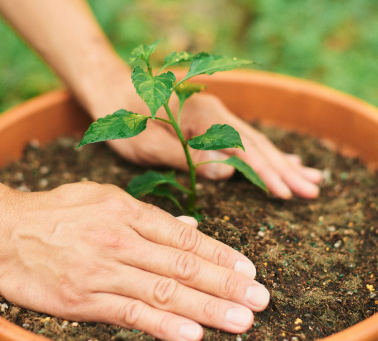 Self-funding a care home