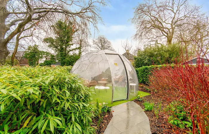 Blossom Fields Dementia Care