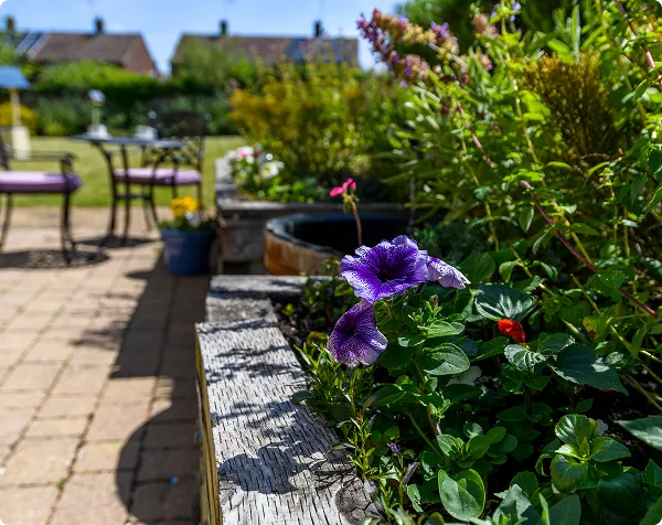 dementia care guides flowers