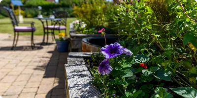Care Sevices Garden