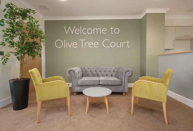 Olive Tree Court Wall