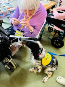 Callie Pets as Therapy