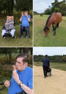 Waverley lodge Visit New Forest 
