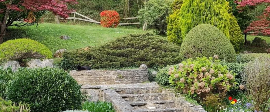 Furry Friends at Dunwood Manor