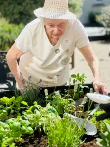 Sensory Garden