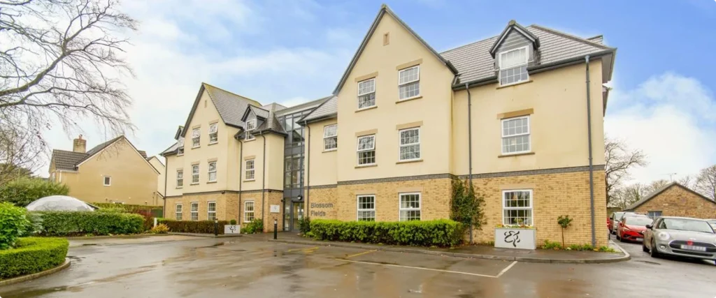 News Care homes blossom fields