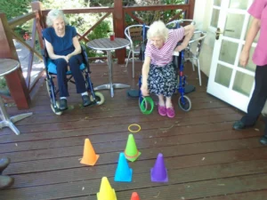 Cedar lawn garden games