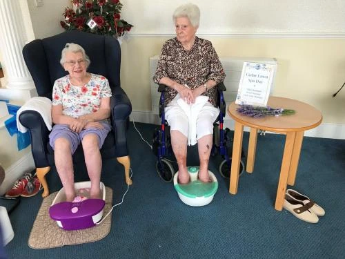 Cedar lawn pampering