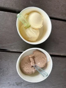 Ice cream new forest